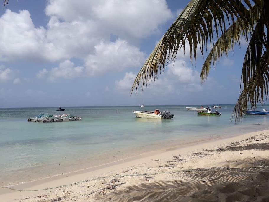 Au Bout Du Reve - Le Gosier Le Gosier (Grande-Terre) Exterior foto